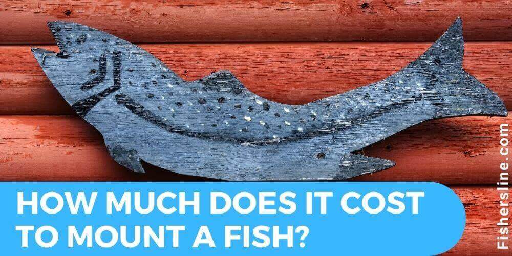 How Much Does It Cost to Mount a Fish