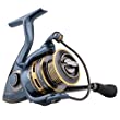 Pflueger President Spinning Fishing Reel