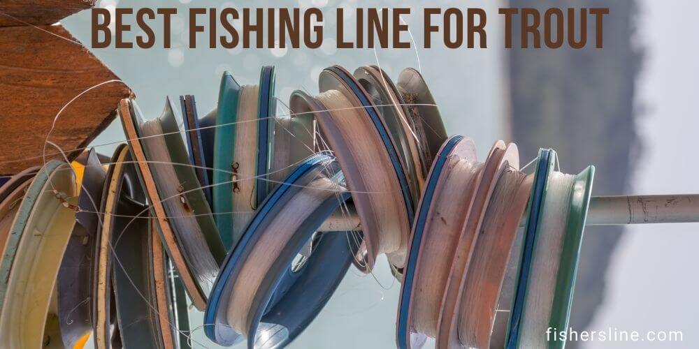 Fishing Line for Trout