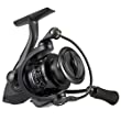 Piscifun Carbon X Spinning Reels