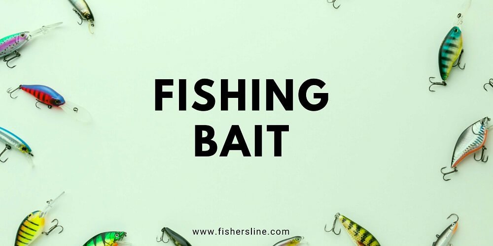 fishing-bait