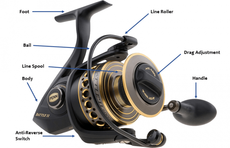 Baitcaster Vs Spinning Reel | Which One Should You Choose?