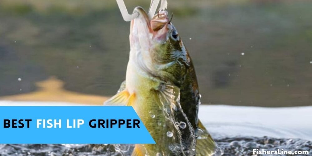 Best Fish Lip Gripper