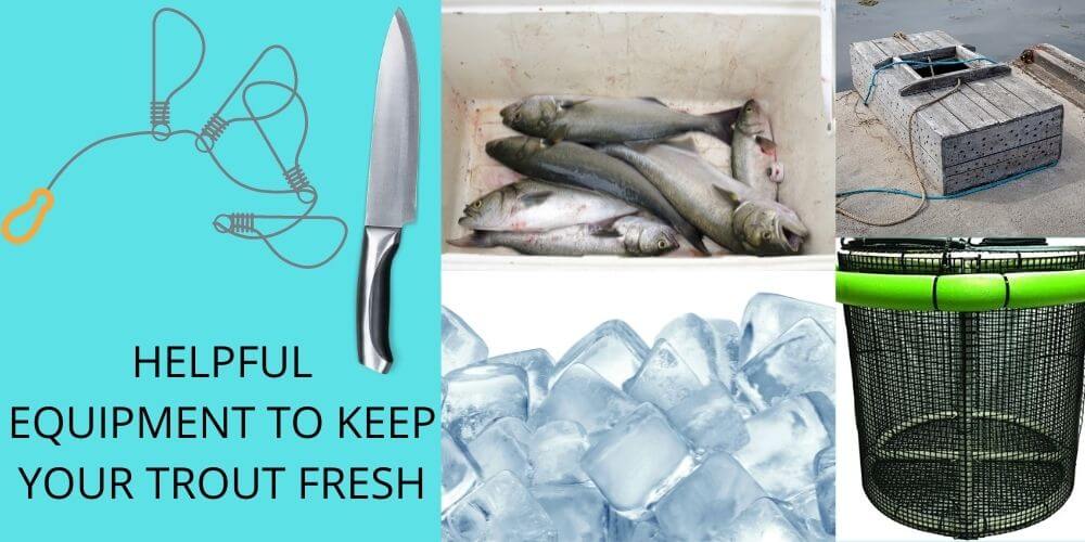 HELPFUL EQUIPMENT TO KEEP YOUR TROUT FRESH