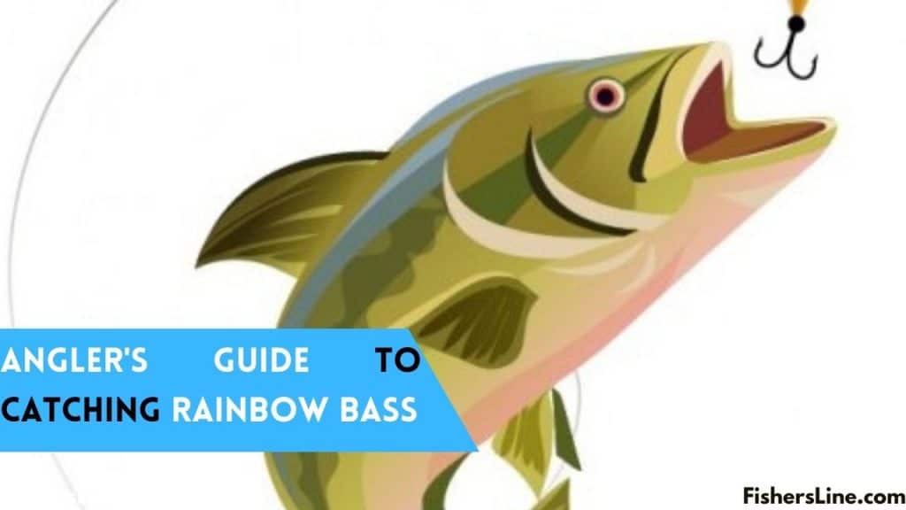 ANGLERS' GUIDE TO CATCHING RAINBOW BASS